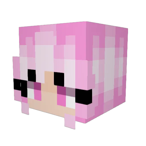 PrincessDana420 Minecraft avatar head, 3D render