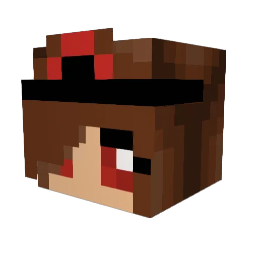 PrincessDarkness Minecraft avatar head, 3D render