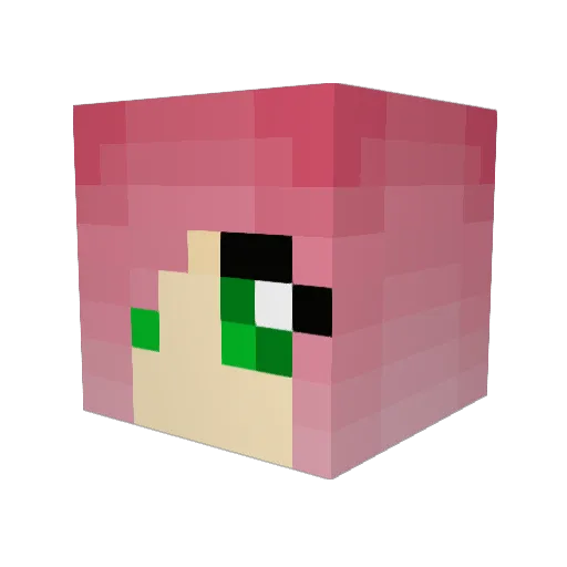 PrincessEuphemia Minecraft avatar head, 3D render
