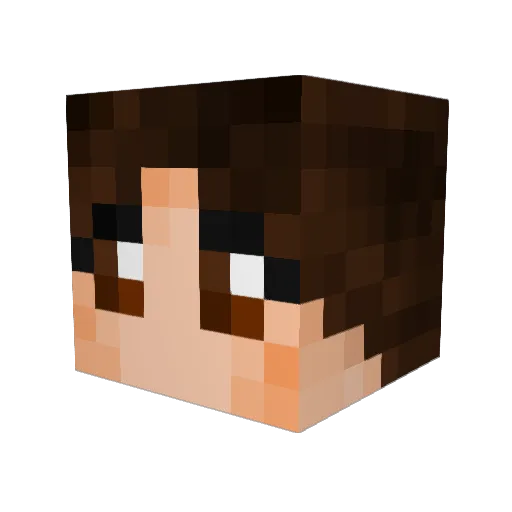 PrincessEvaD Minecraft avatar head, 3D render