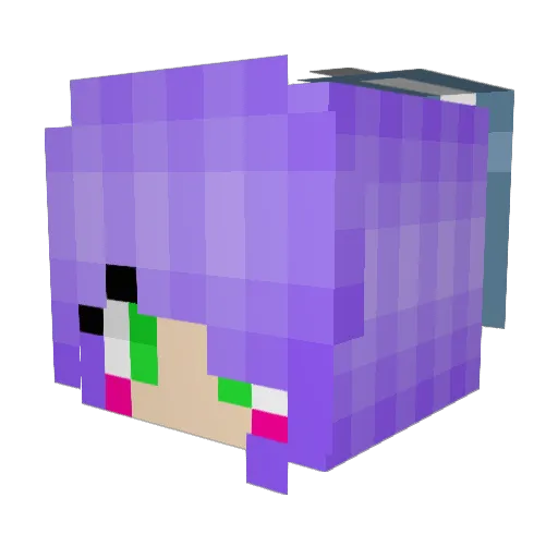 PrincessFairy164 Minecraft avatar head, 3D render