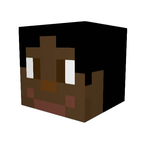 PrincessFire23 Minecraft avatar head, 3D render