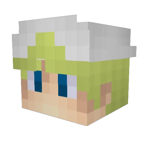 PrincessFloris Minecraft avatar head, 3D render