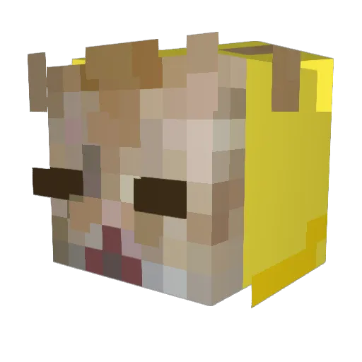 PrincessFlow Minecraft avatar head, 3D render