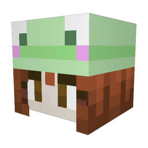 PrincessGrodan Minecraft avatar head, 3D render