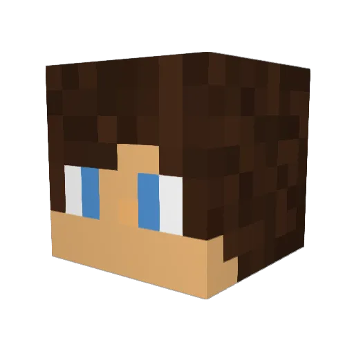PrincessJaeJae Minecraft avatar head, 3D render