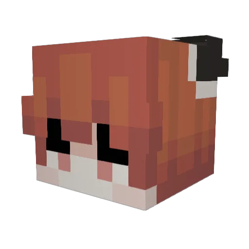 PrincessKaren_21 Minecraft avatar head, 3D render