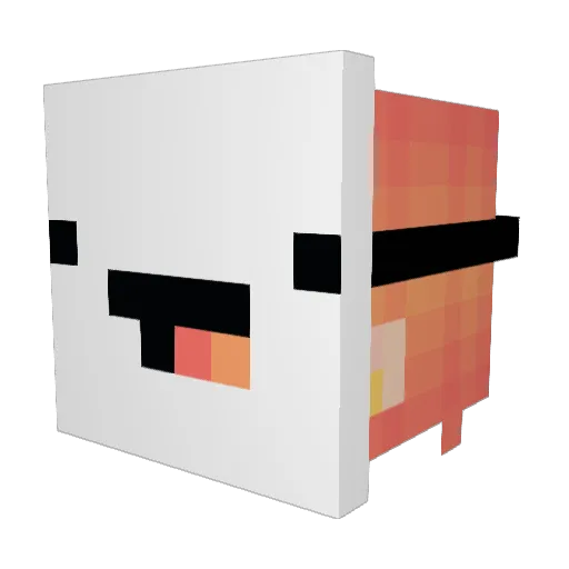 PrincessKayah Minecraft avatar head, 3D render