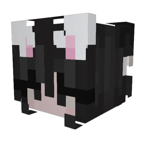 PrincessKirsty Minecraft avatar head, 3D render