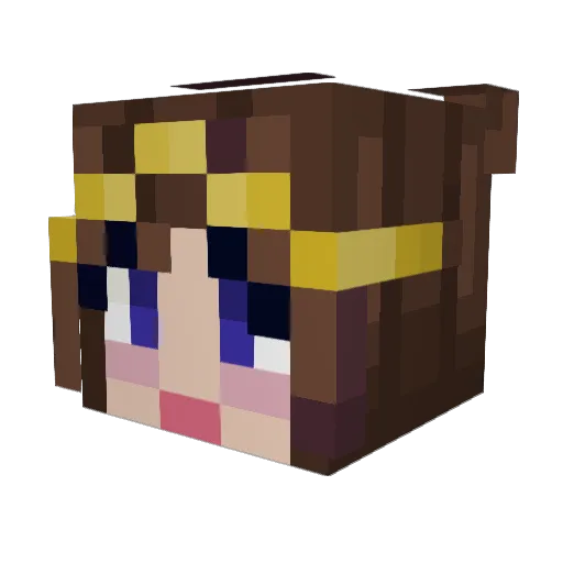 PrincessKitty06 Minecraft avatar head, 3D render