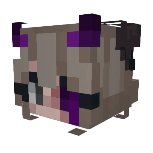 PrincessKitty7 Minecraft avatar head, 3D render