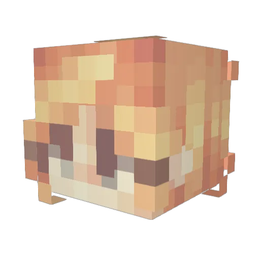 PrincessLapinne Minecraft avatar head, 3D render