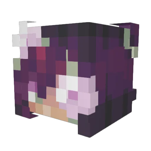 PrincessLes25 Minecraft avatar head, 3D render