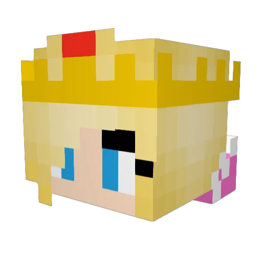 PrincessMadz0505 Minecraft avatar head, 3D render