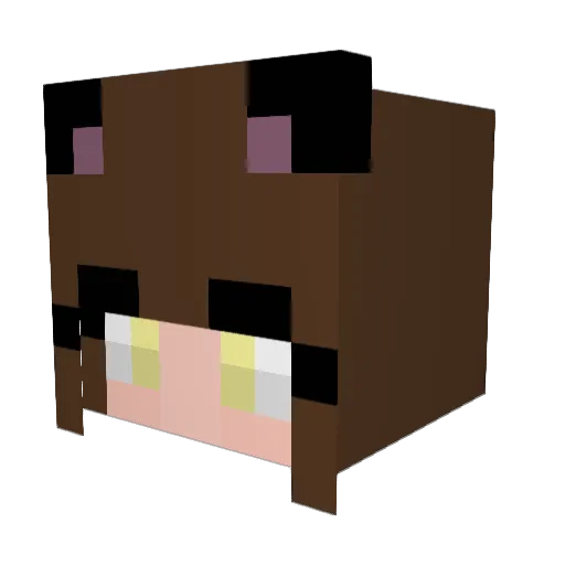 PrincessMaia123 Minecraft avatar head, 3D render