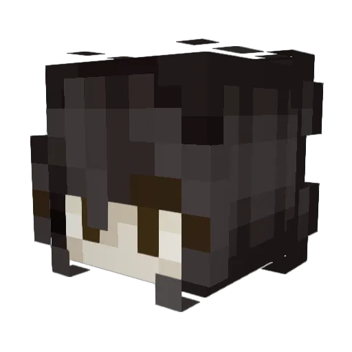 PrincessMea Minecraft avatar head, 3D render