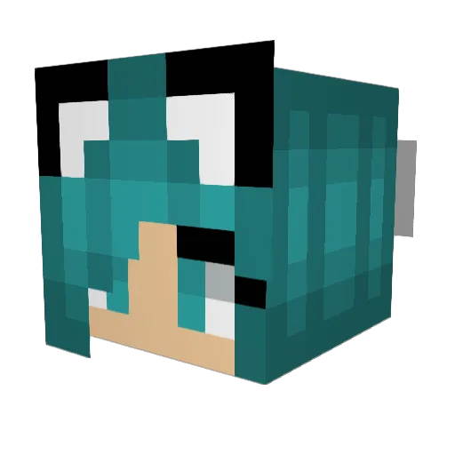 PrincessMelody55 Minecraft avatar head, 3D render
