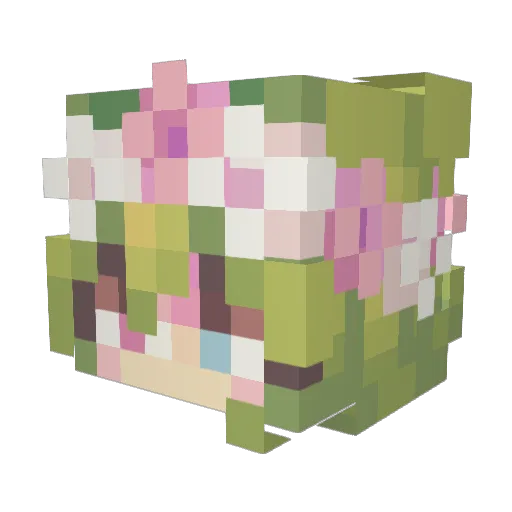 PrincessMiela Minecraft avatar head, 3D render