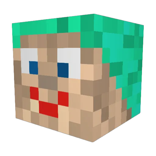 PrincessOfWaste Minecraft avatar head, 3D render
