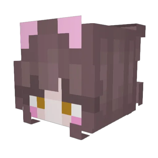 PrincessPinkYosh Minecraft avatar head, 3D render