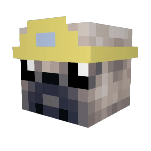 PrincessPuggle Minecraft avatar head, 3D render