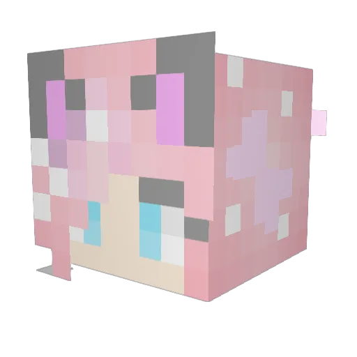 PrincessRoni Minecraft avatar head, 3D render