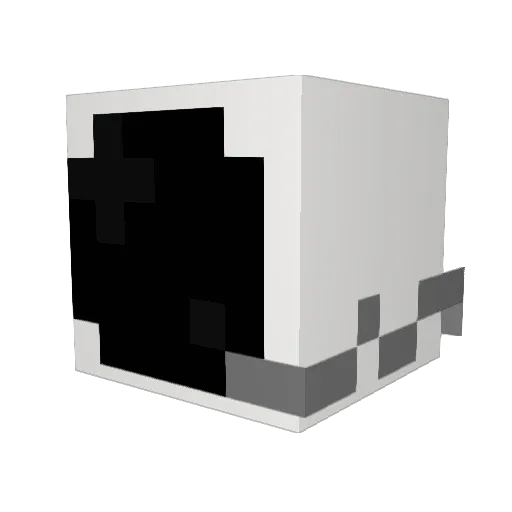 PrincessSalt429 Minecraft avatar head, 3D render