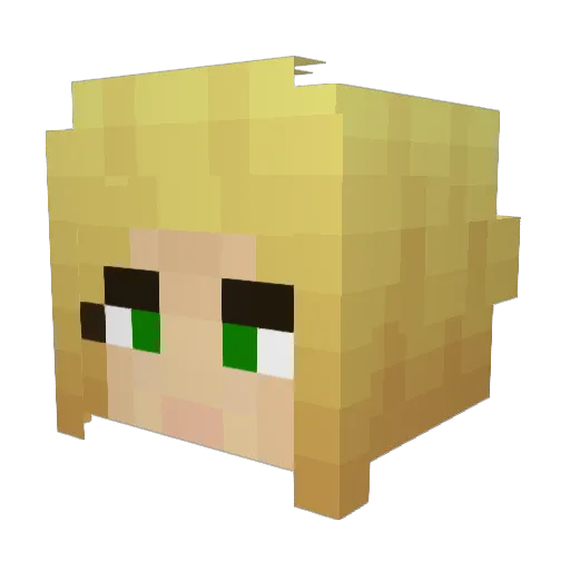 PrincessSnuggles Minecraft avatar head, 3D render