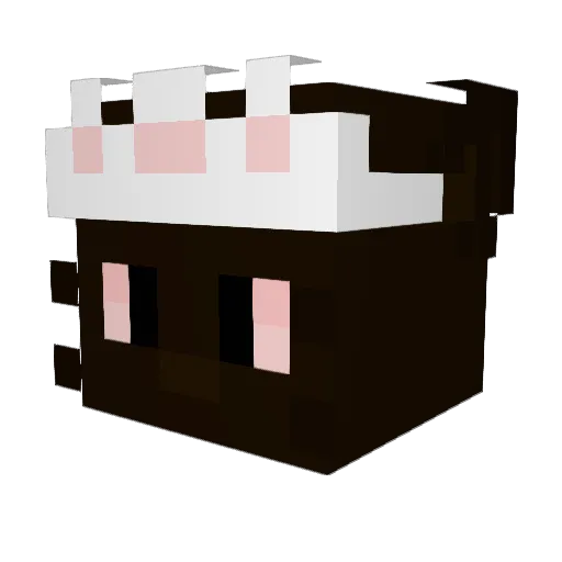 PrincessSocks14 Minecraft avatar head, 3D render