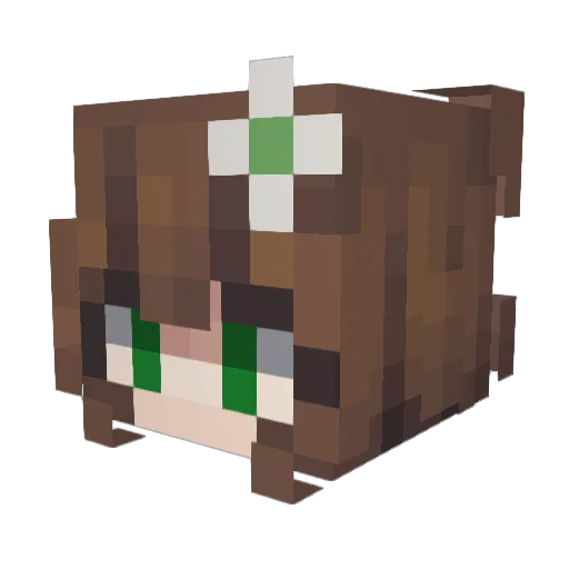 PrincessSprout Minecraft avatar head, 3D render
