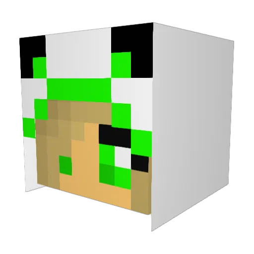 PrincessTaia Minecraft avatar head, 3D render