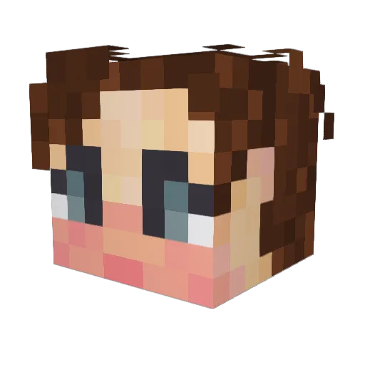 PrincessTeaSha Minecraft avatar head, 3D render