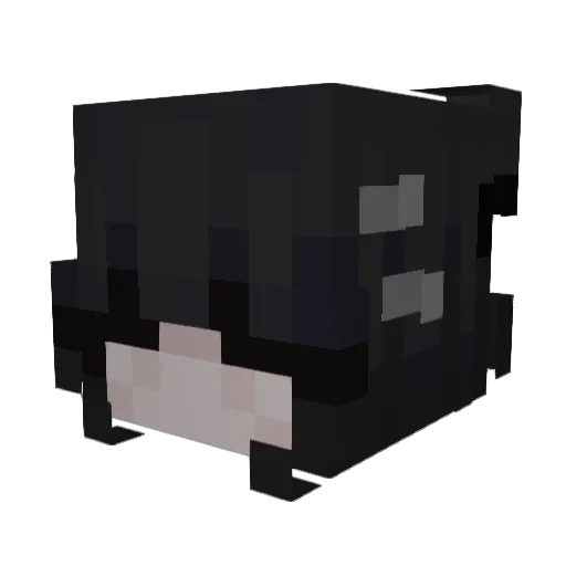 PrincessWifi009 Minecraft avatar head, 3D render