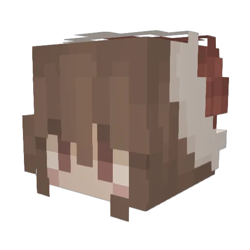 PrincessYuka973 Minecraft avatar head, 3D render
