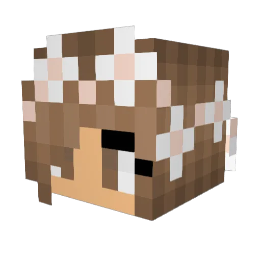 Princess_28 Minecraft avatar head, 3D render