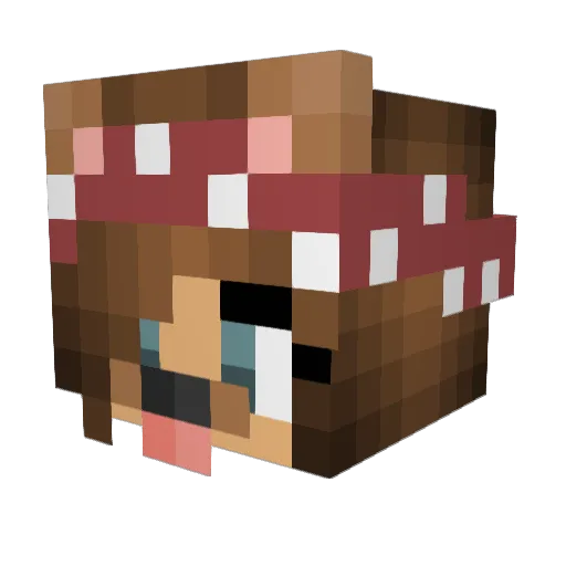 Princess_Anett Minecraft avatar head, 3D render