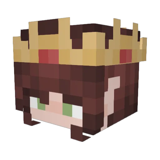 Princess_Dingus Minecraft avatar head, 3D render