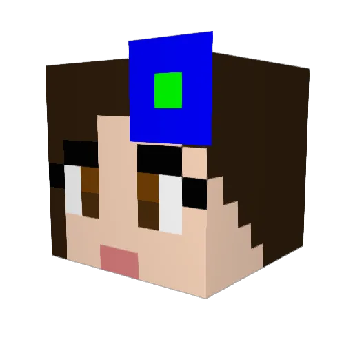 Princess_E9 Minecraft avatar head, 3D render