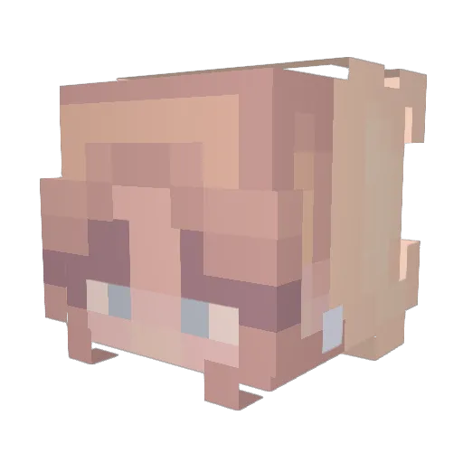 Princess_Em1 Minecraft avatar head, 3D render