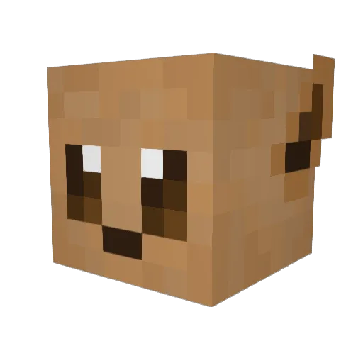 Princess_Leia98 Minecraft avatar head, 3D render
