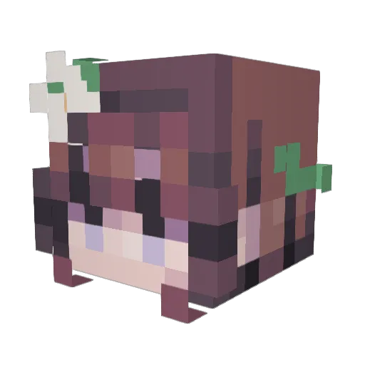 Princess_Lila Minecraft avatar head, 3D render