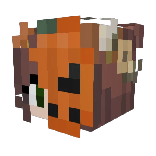 Princess_Panda_ Minecraft avatar head, 3D render