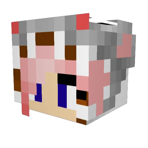 Princess_Pixels1 Minecraft avatar head, 3D render