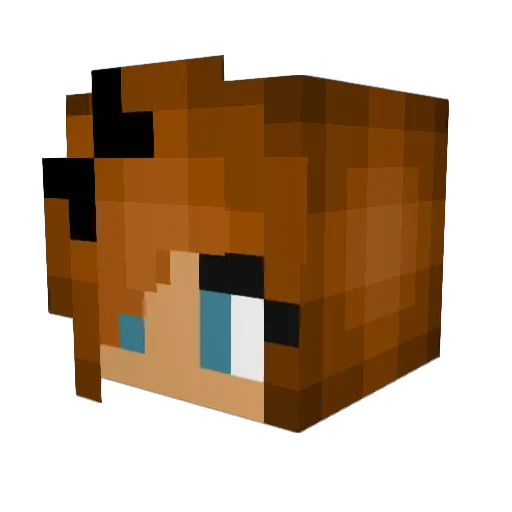 Princess_Poopy Minecraft avatar head, 3D render