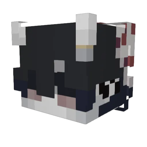 Princess_Power Minecraft avatar head, 3D render