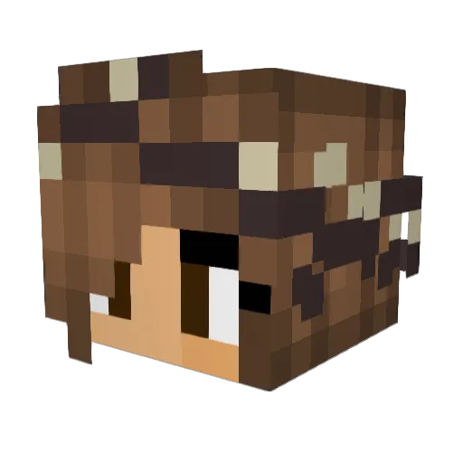 Princess_Sian Minecraft avatar head, 3D render