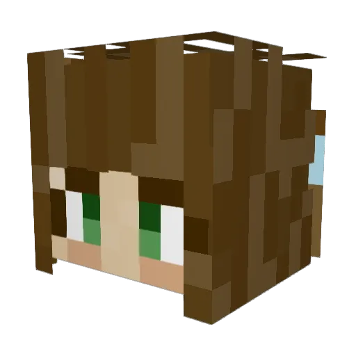 Princess_Turtle Minecraft avatar head, 3D render