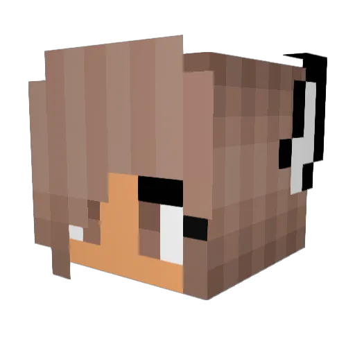 Princess_Waffle Minecraft avatar head, 3D render