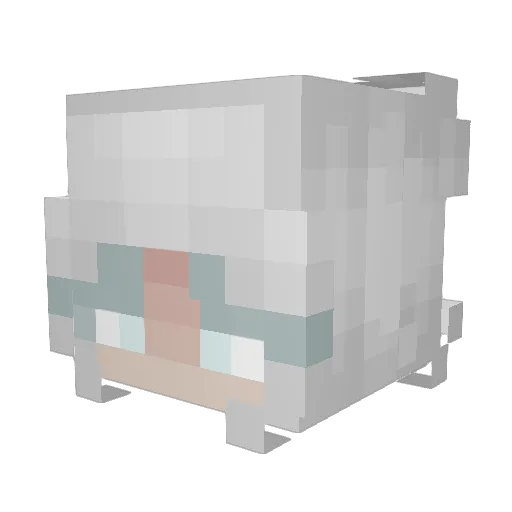 Princess_Zel Minecraft avatar head, 3D render