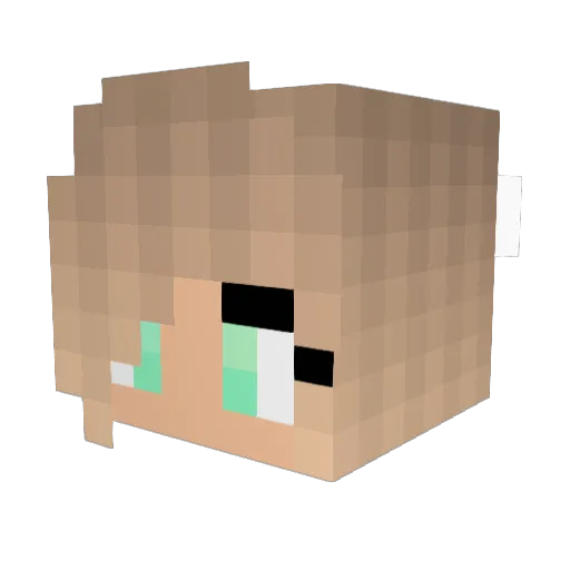 Princess__Emmy Minecraft avatar head, 3D render